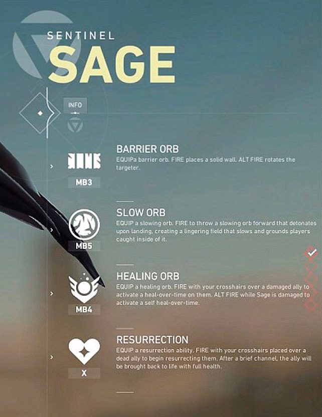 Basic information and champion skills, according to this skill table, Sage is a support champion with buff capabilities