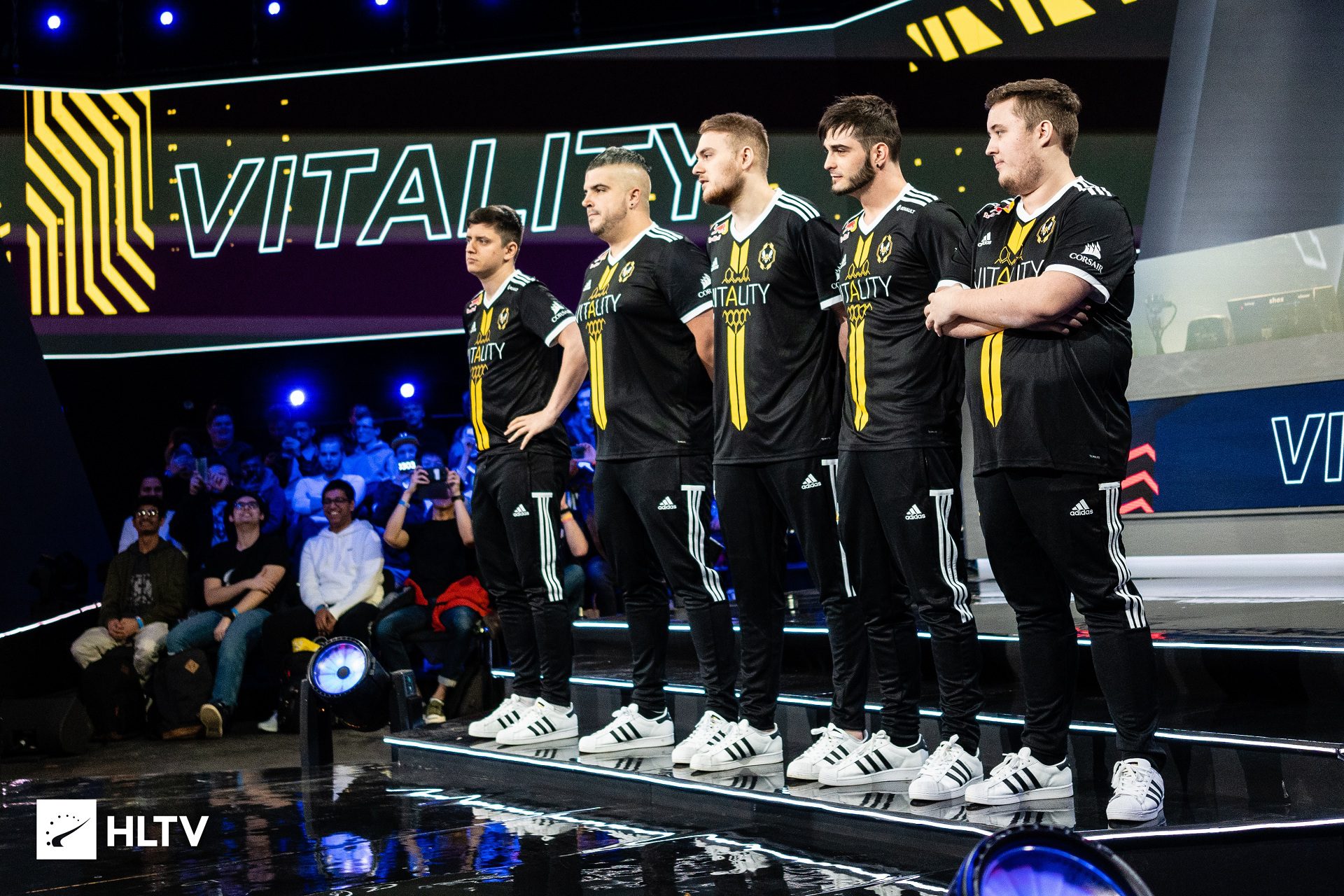 Vitality's lineup from left to right: apEX, RpK, ALEX, shox, and finally ZywOo.
