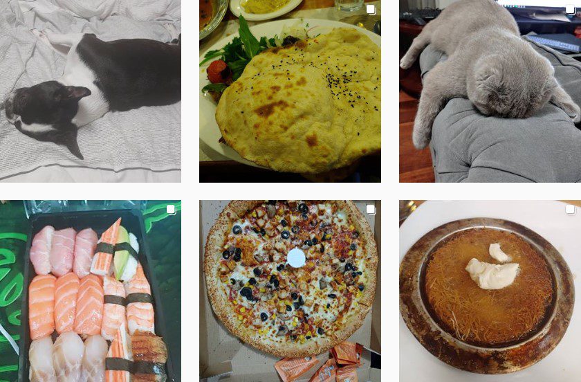 Wolf's Instagram looks no different than a food Vlogger's social media