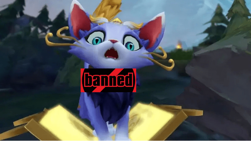 Always ban this cat, guys