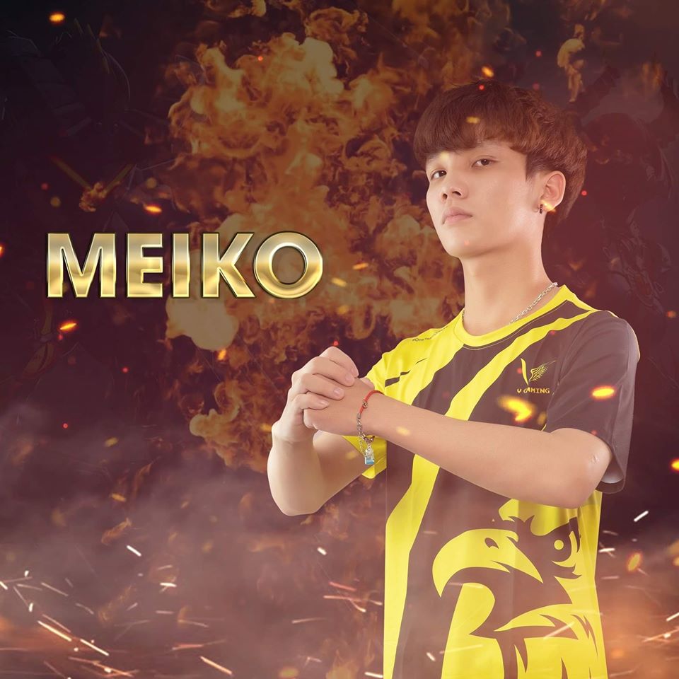 VGM MeiKo