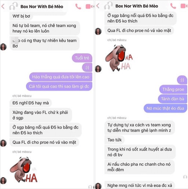 The message accusing BronzeV of being ungrateful, wanting to leave SGP for FL because Lai Bang is more famous. ProE also gets insulted as a 'womanly character.'