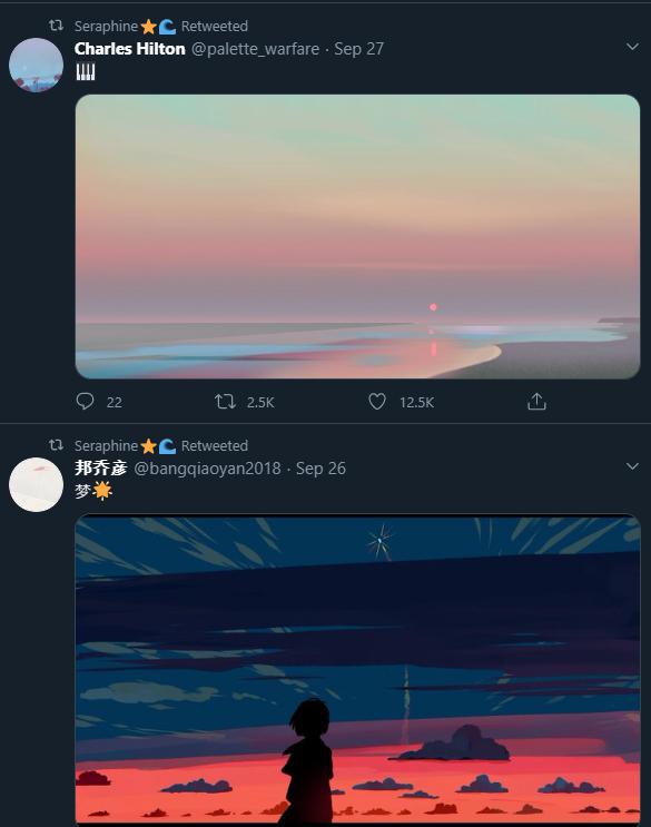 The photos she Retweets also share similarities
