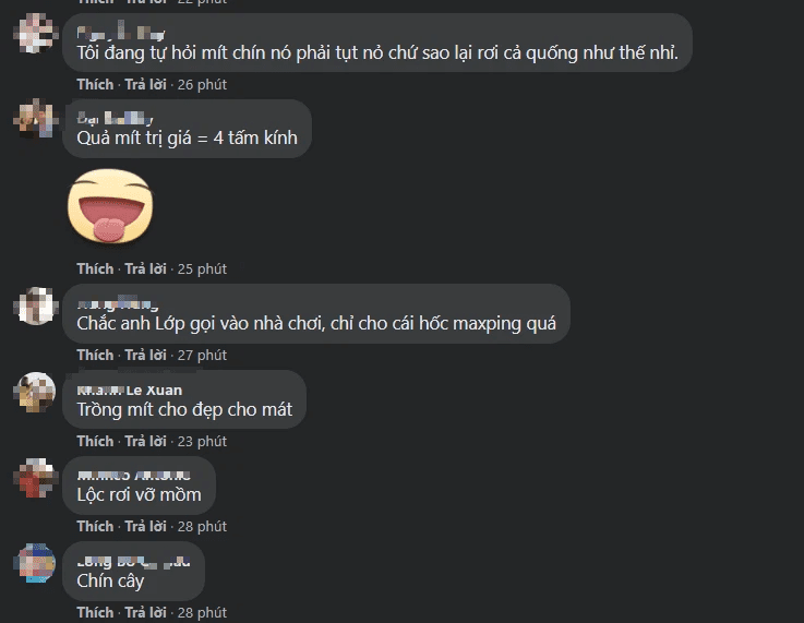 AoE fans passionately discuss the image of Chim Sẻ Đi Nắng's car with a shattered window due to falling jackfruit.