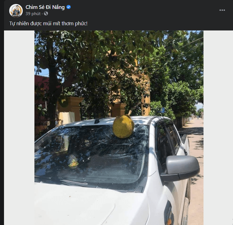 Post on Chim Sẻ Đi Nắng's Fanpage