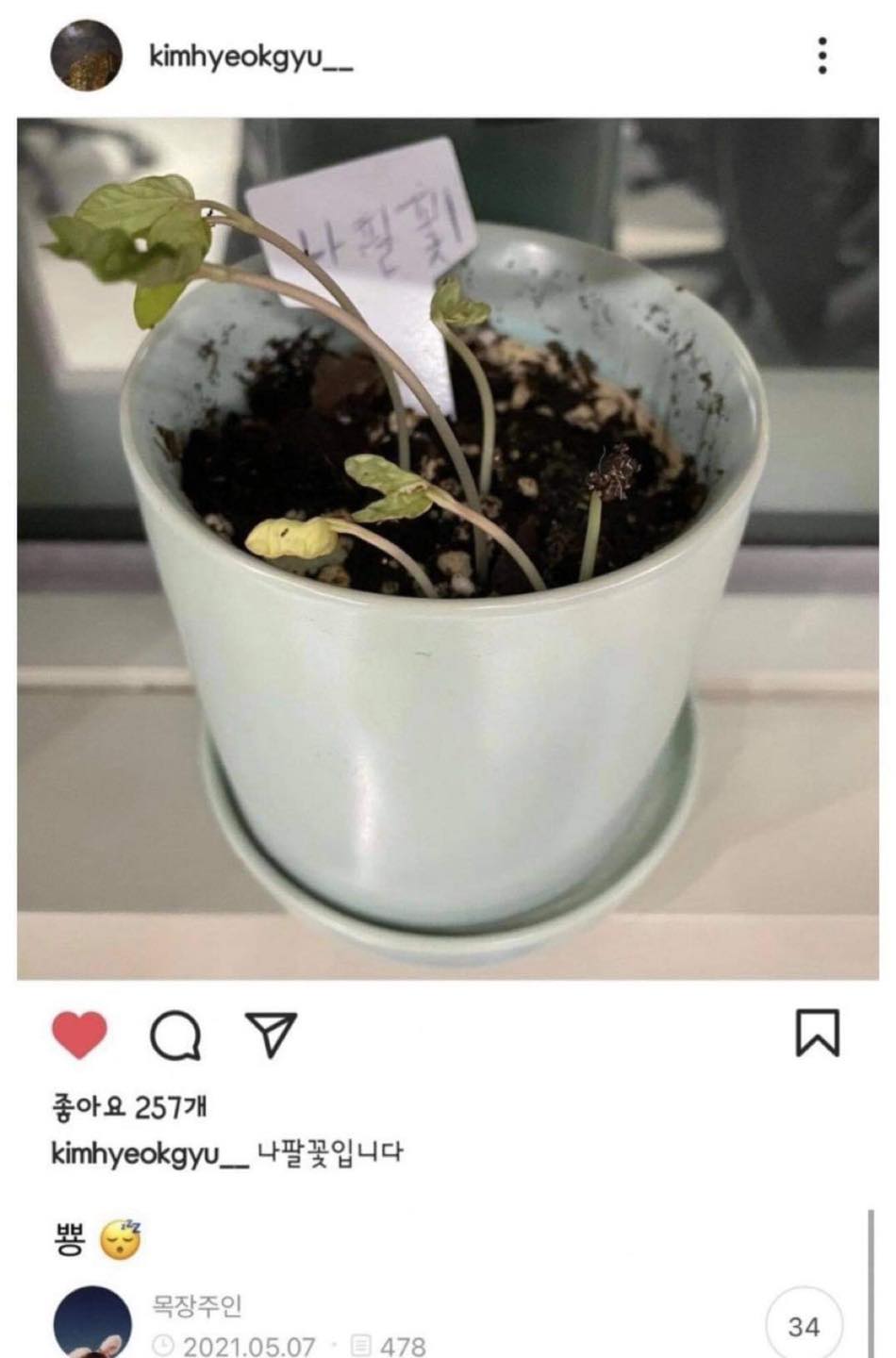 Both have a passion for gardening