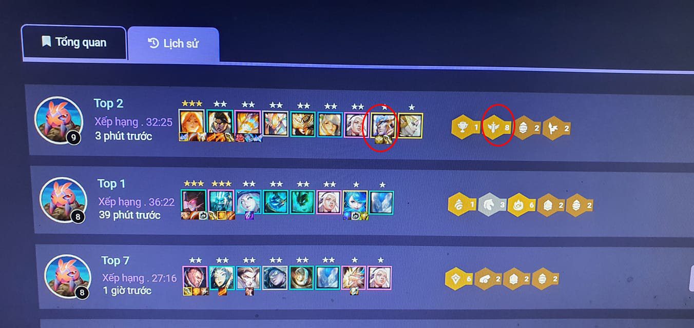 Trait Emblem equipped but not displayed on champion Garen