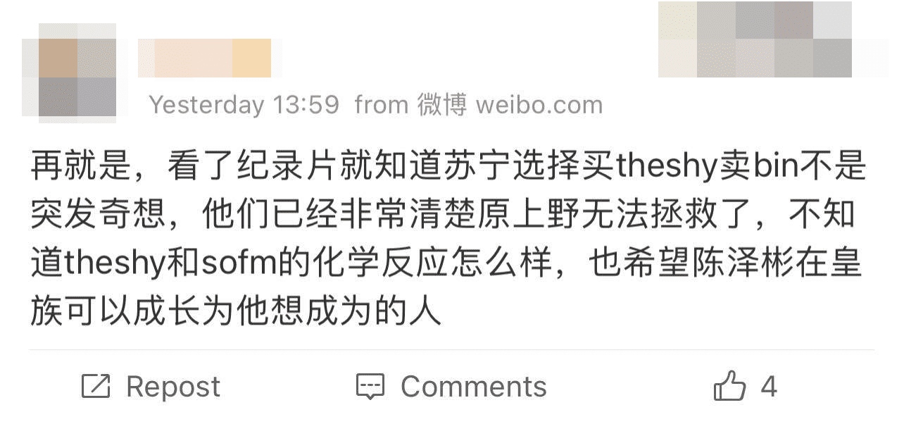 After watching, it becomes clear that WBG's decision to buy TheShy and sell Bin was not without reason. They likely understood all the issues right when they took over SN. It remains unclear what the relationship between TheShy and SofM will be. I also hope Bin succeeds at RNG