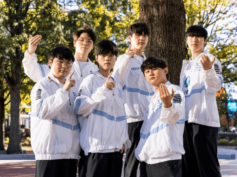 A perfect team is where each player does well in their turn and coordinates well with teammates - source: LoL Esports
