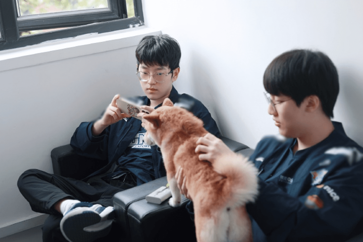 LNG Esports is highly regarded by experts in LPL Summer 2023