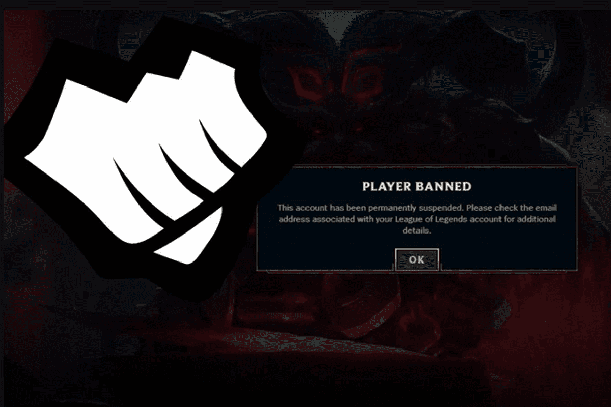 Players need to carefully review support applications to avoid wrongful account bans