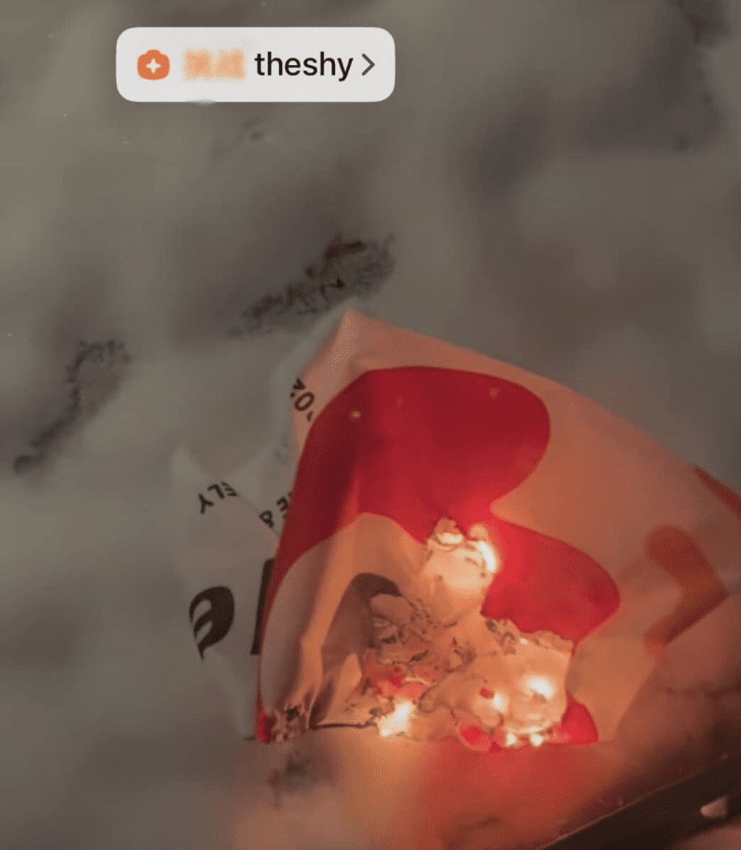 The image of TheShy's fan burning the WBG flag has attracted a lot of attention