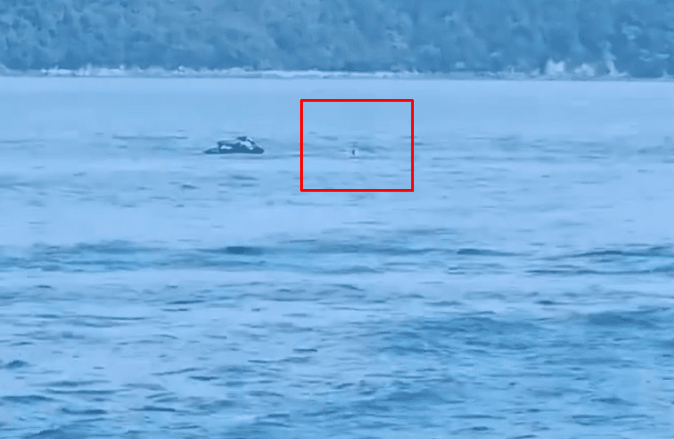 TheShy fell into the sea during a jet ski accident