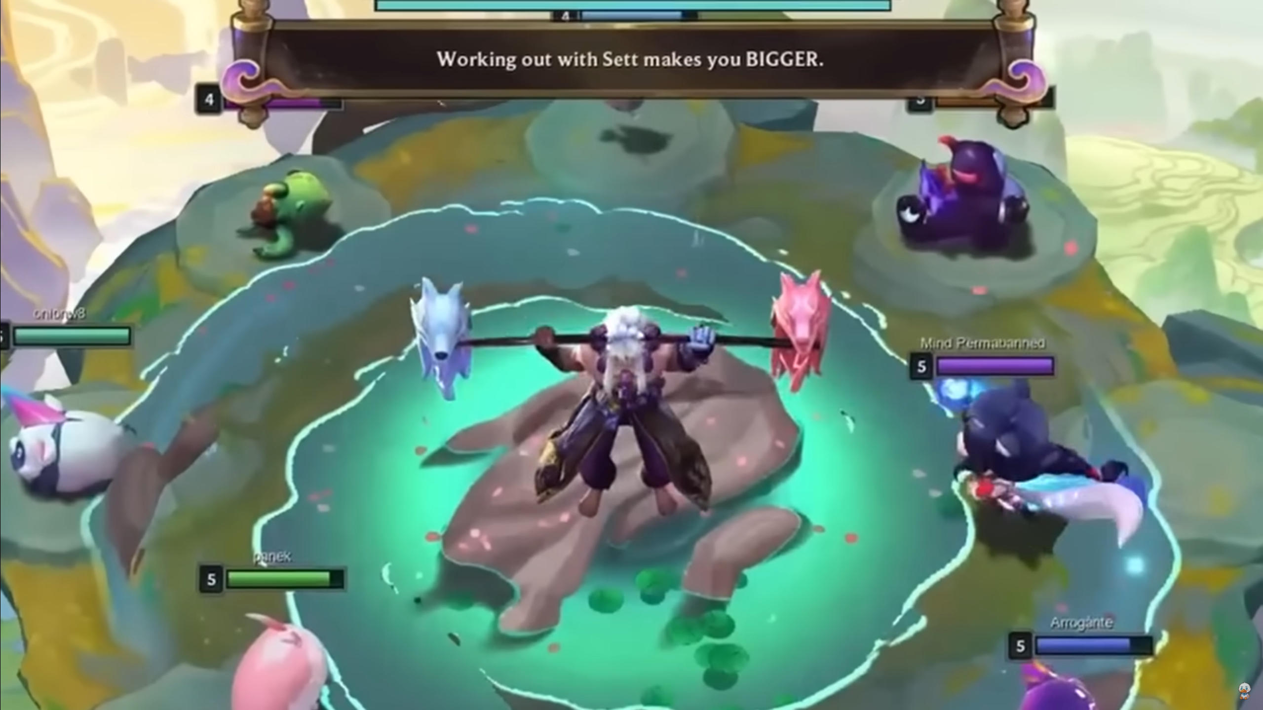 The Sett Trait has been claimed by many international players to have little meaning