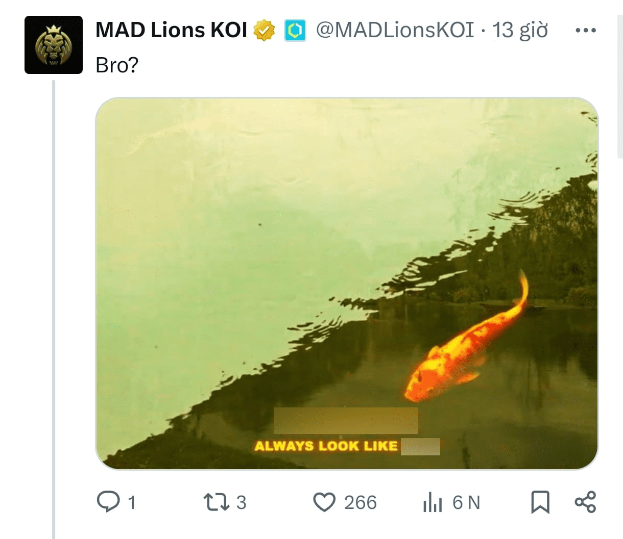 MAD Lions style: "Seriously, dude?"