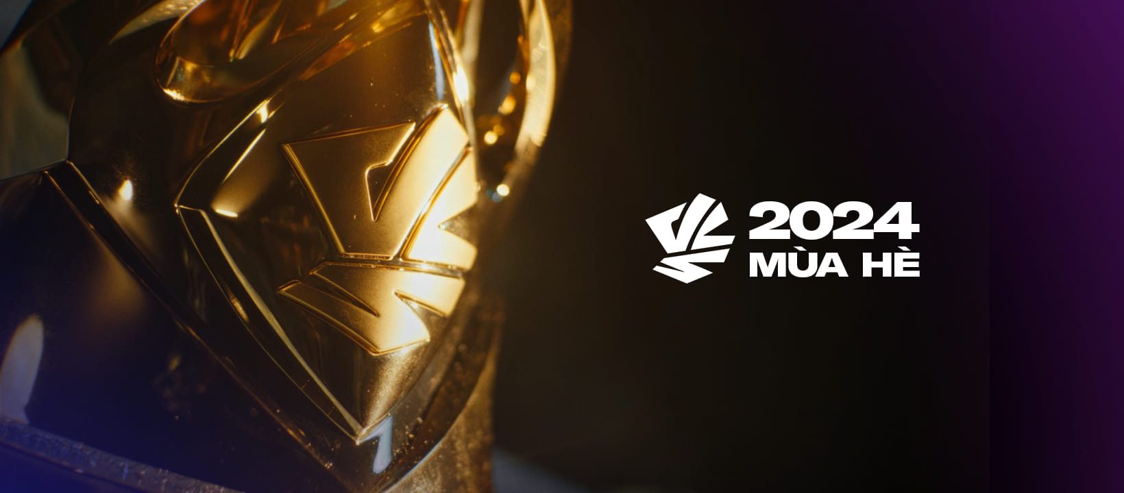 VCS Summer 2024 is about to kick off