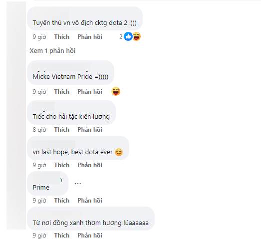 DOTA 2 fans in Vietnam have a reason to be proud