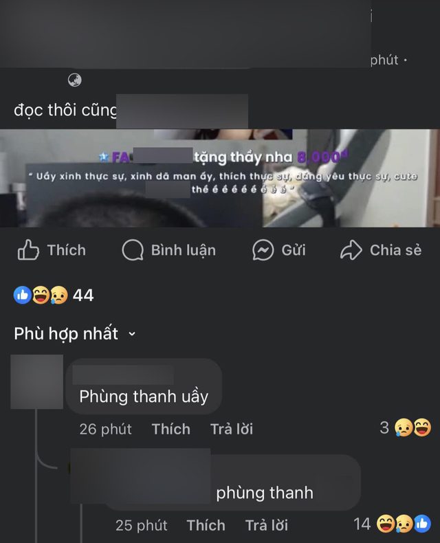Posts mocking or ridiculing Độ Mixi are increasingly out of control.