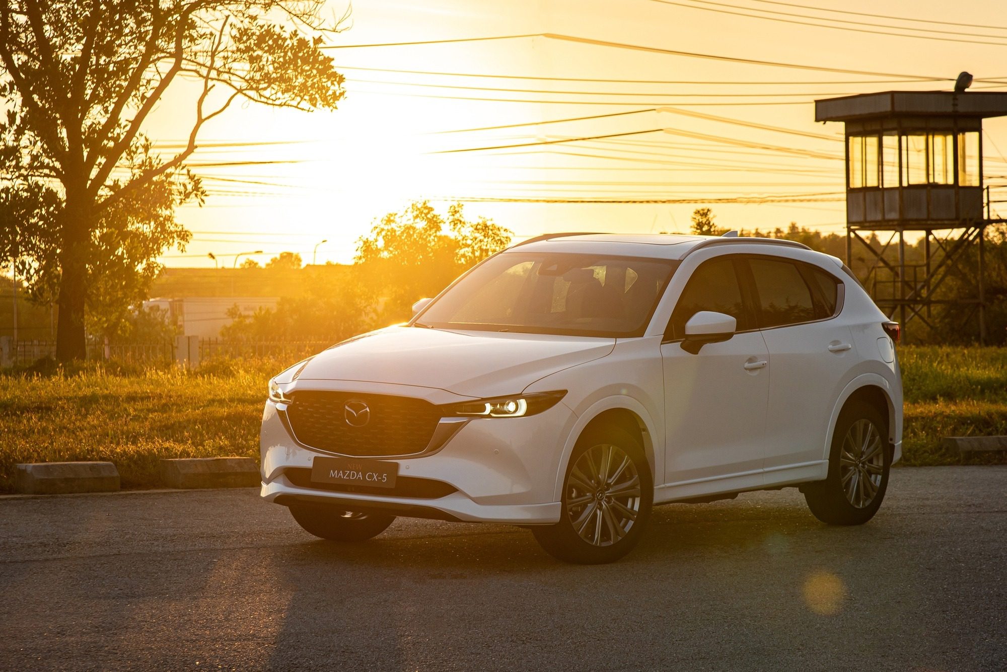 Mazda CX-5 leading the Market Leading Car segment.